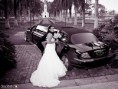 /album/limousines-/facebook-000-jpg1/